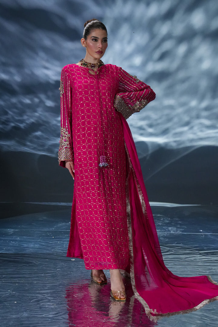 Shocking Pink Embroidered Chiffon dress